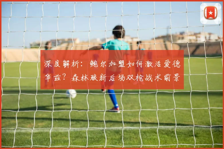 深度解析：鲍尔加盟如何激活爱德华兹？森林狼新后场双枪战术前景全览