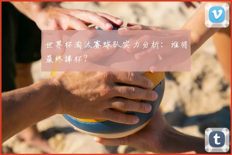 世界杯淘汰赛球队实力分析：谁将最终捧杯？