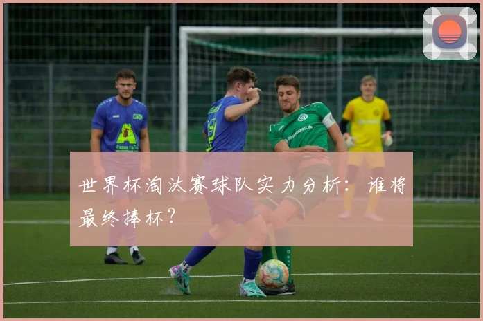 世界杯淘汰赛球队实力分析：谁将最终捧杯？