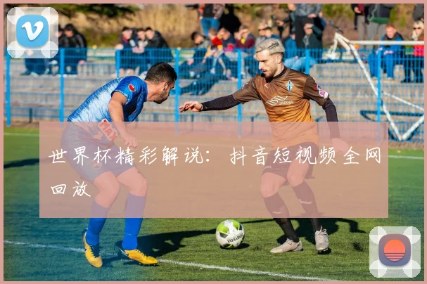 世界杯精彩解说：抖音短视频全网回放